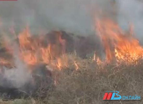 Житель Волгоградской области заплатил за лесной пожар